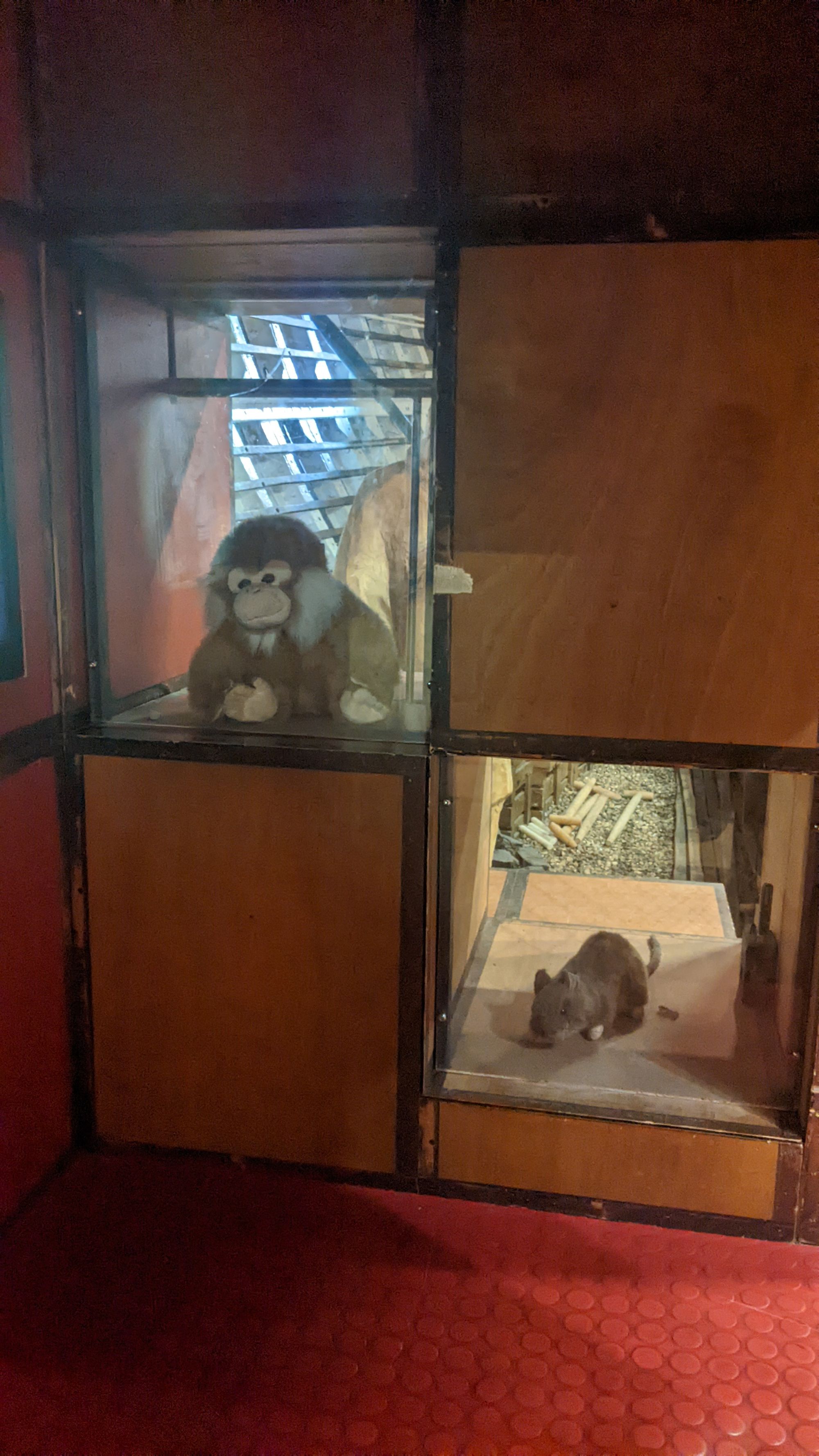 Image of a plushie rat and monkey in separate glass boxes